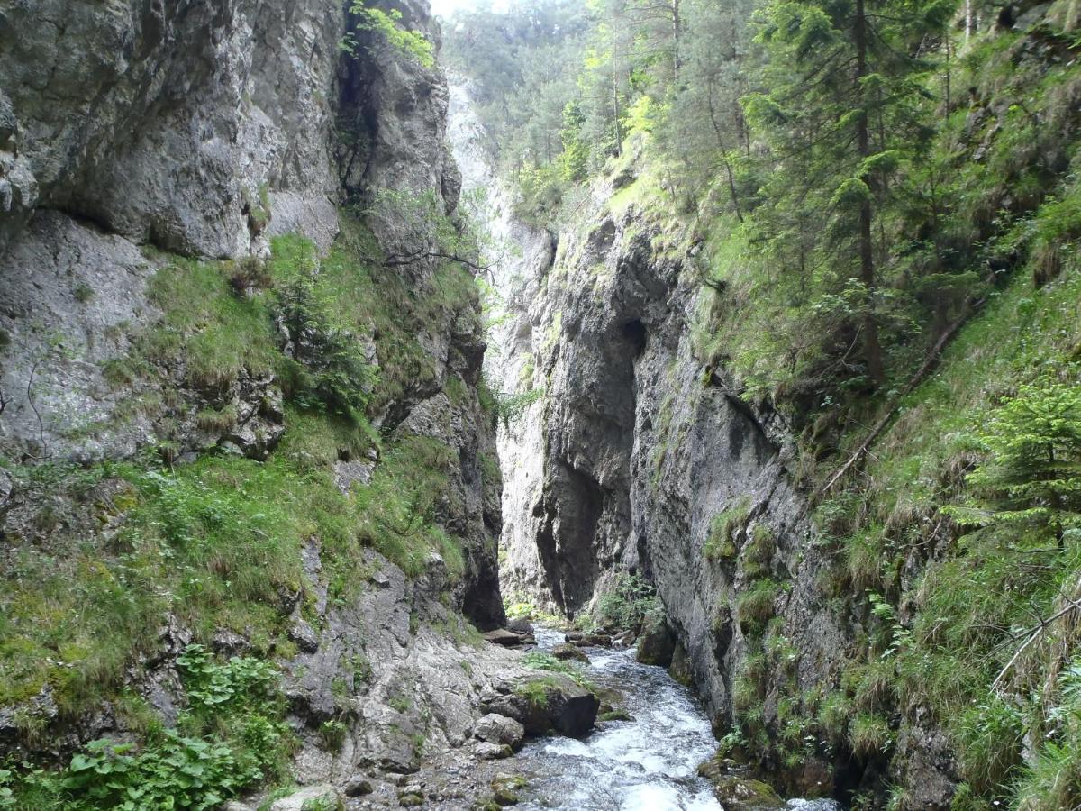 Amis Apartman 2 Liptovský Trnovec Buitenkant foto